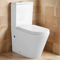 Torina Rimless Flush Toilet