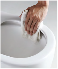 Torina Rimless Flush Toilet