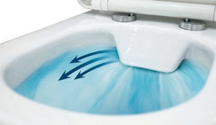 Torina Rimless Flush Toilet