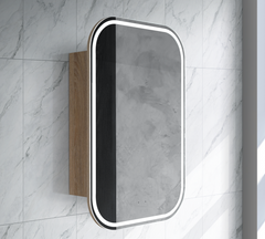 Eric Collection LED Round Corner Shaving Cabinet 600x900mm