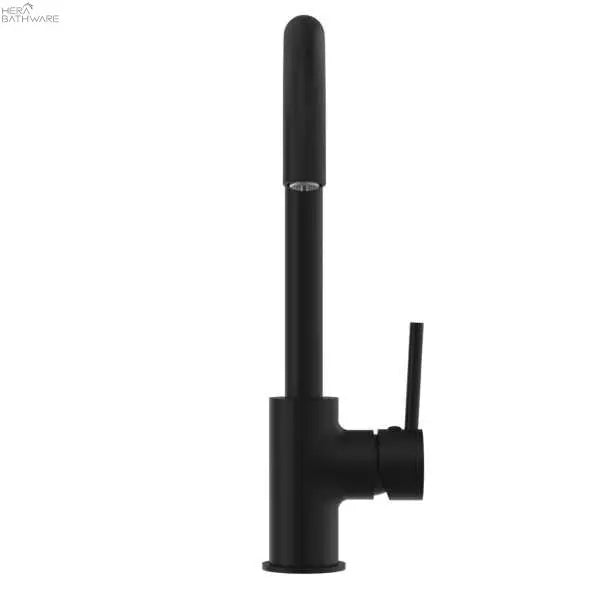 DOLCE Gooseneck Kitchen Mixer