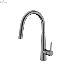 DOLCE Pull-Out Sink Mixer with Vegie spray function