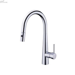 DOLCE Pull-Out Sink Mixer with Vegie spray function