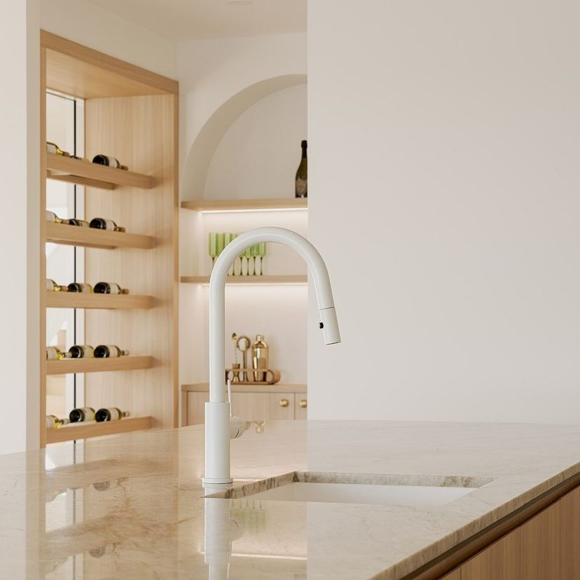 MECCA Pull-Out Sink Mixer with Vegie spray function