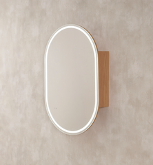 Oscar Oval Shape LED Shaving Cabinet